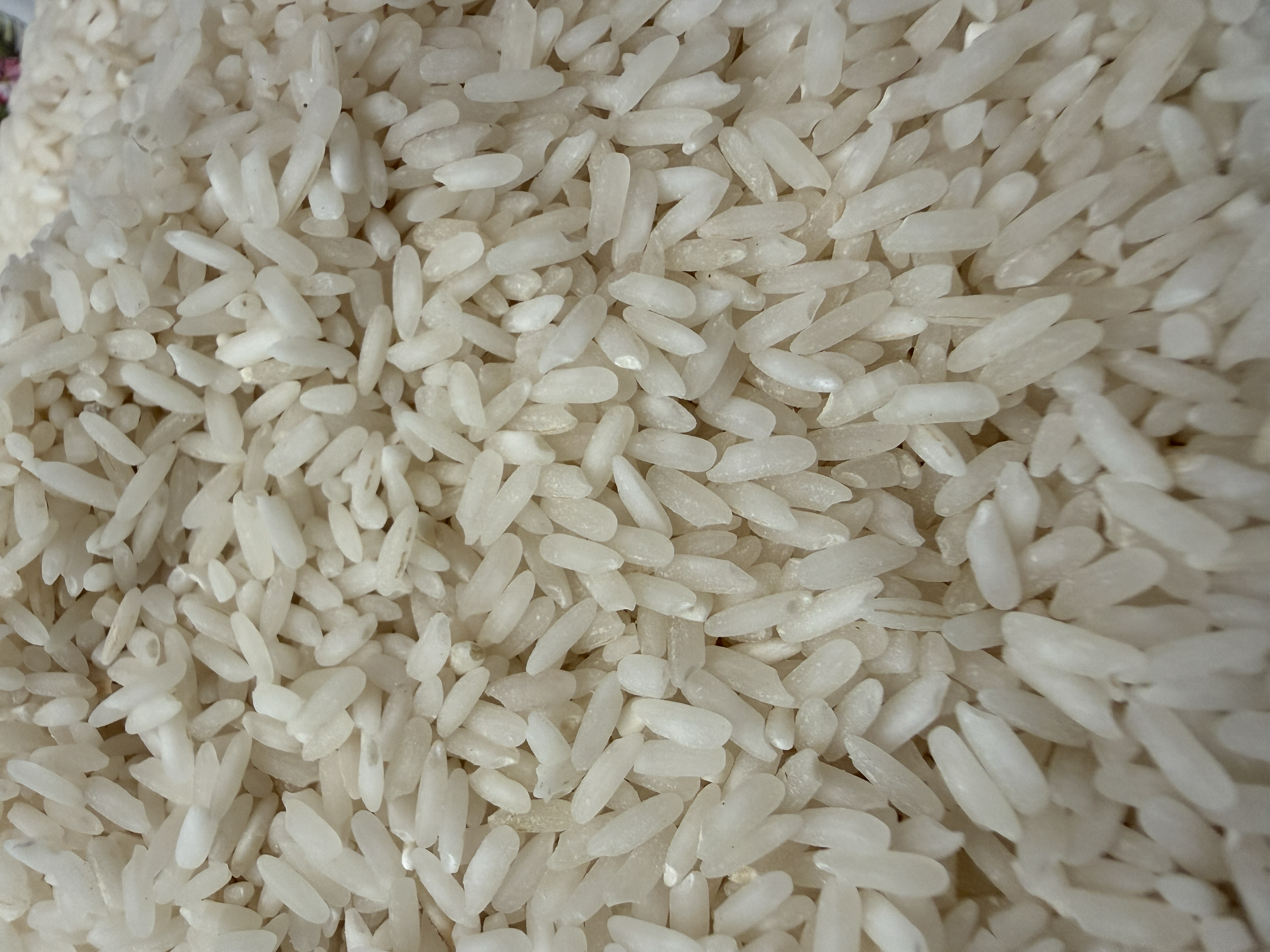 চাল ও শস্য